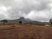 Agricultural Land in Trimbak for resale Nashik. The...