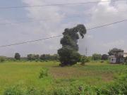 Agricultural Land in Wadi for resale Nagpur. The...