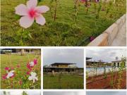 Agricultural Land in Yelahanka for resale North...