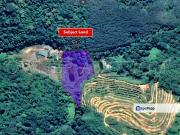 Agricultural Land [Land with Ready 3 Fishing Ponds]