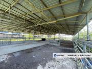 Agricultural Land, Ternakan Lembu Dan Kambing Secara...