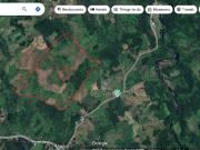 Agricultural Lot 17 has. Good for Livestock, Poultry or...