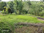 Agricultural Lot for sale in Cebu City