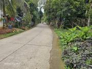 Agricultural Lot for sale in Cebu City