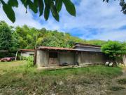 Agricultural Lot for sale in Cogon Cruz Danao City Cebu