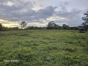 Agricultural Lot for sale in Dagohoy