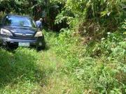 Agricultural Lot for sale in Lipa