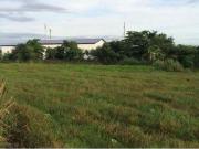 Agricultural Property for Sale in Vista Alegre, Bacolod