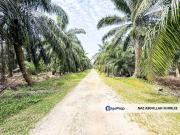 Agriculture Land Sungai Kelambu, Banting For