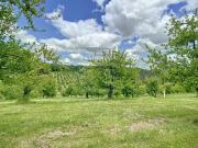 Agriculture Viticulture 900m² Montauban