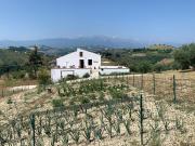 Agriturismo con possibilità 240m² Castilenti