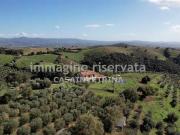 Agriturismo in vendita a Campagnatico