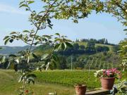 Agriturismo in vendita a Manciano