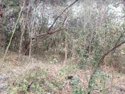 Agua de Oro! en venta muy lindo lote 460 m2 cerca de la ruta