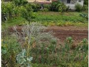 Águeda Águeda 94523607