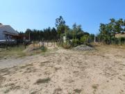 Águeda Águeda 94676274