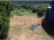 Águeda Águeda 95660973