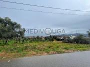 Águeda Águeda 98824764