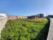 Águeda Águeda 99886808