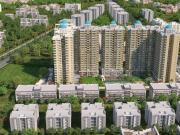 Aigin Royal Phase 4,Noida Extension 4.5 BHK Apartment...