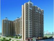 Sector 1, Greater Noida West 2 BHK Apartment For Sale... Sector 1, Greater Noida West 2 BHK Apartment For Sale...