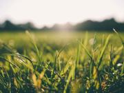 AIGNER Großzügiges Grundstück in begehrter Lage von Solln