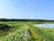 Ain Propriété de chasse dans la Dombes m² Mionnay