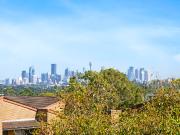 Another Successful Result By David Ibanez