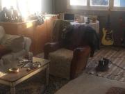 Aix en Provence Location Appartement 13 Aix en Provence Location Appartement 13