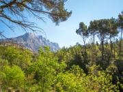 AIX EN PROVENCE Maison P4 de 107,77 m²