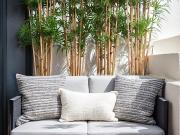 Aix en Provence Vente Appartement 13
