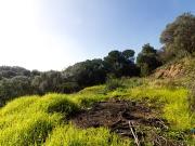 Ajaccio 20000 Achat / Vente terrain