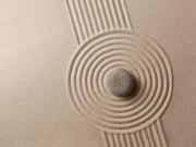 Akoya Lotus III [object Promise] for Rent