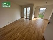 AKTION 1 MONAT MIETZINSFREI! URBAN GARDENING IM NEUEN...