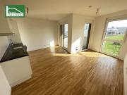 AKTION 1 MONAT MIETZINSFREI! URBAN GARDENING IM NEUEN...