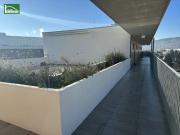 AKTION 1 MONAT MIETZINSFREI! URBAN GARDENING IM NEUEN... AKTION 1 MONAT MIETZINSFREI! URBAN GARDENING IM NEUEN...