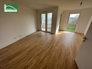 AKTION 1 MONAT MIETZINSFREI! URBAN GARDENING IM NEUEN...