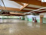 Aktion € 3,5/m2/netto geräumiger Hallenkomplex mit...