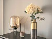 Aktion! Provisionsfrei! Behindertengerechte...