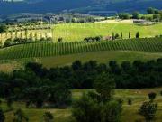 Al dettaglio 4 camere da letto, Scansano ToscanaTuscany...