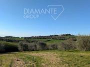 Al dettaglio Castiglione Del Lago Umbria ES89546819