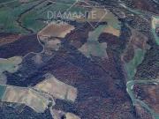 Al dettaglio Civitella Paganico ToscanaTuscany DS96319885