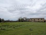 Al dettaglio Cortona ToscanaTuscany DS97103947