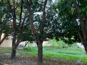 Alabang Hills, Muntinlupa For SALE