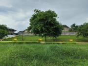 Alabang West | Residential Lot For Sale #8833