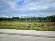 Alabang West VIP lot for sale 320 sqm Las Piñas...