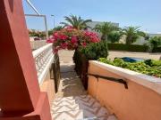 Alamillo, Bonita Terraza