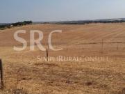 Alandroal Alandroal 94929474