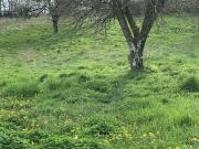 Alban Vente Terrain 81