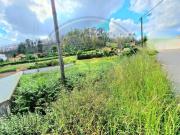 Albergaria a Velha Albergaria a Velha LS91851541